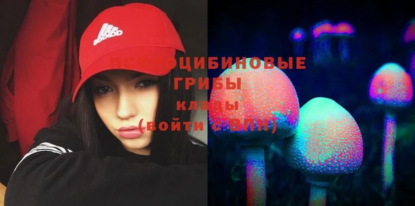 spice Покровск
