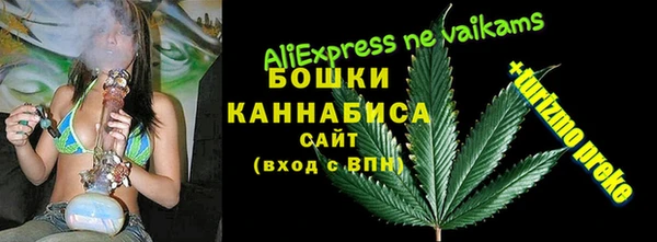 амф Покачи