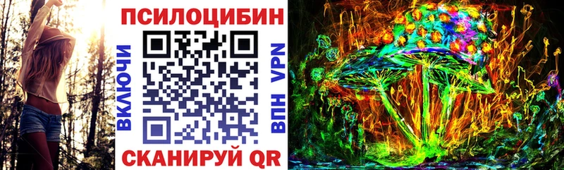 Купить  Мостовской  Галлюциногенные грибы мухоморы 